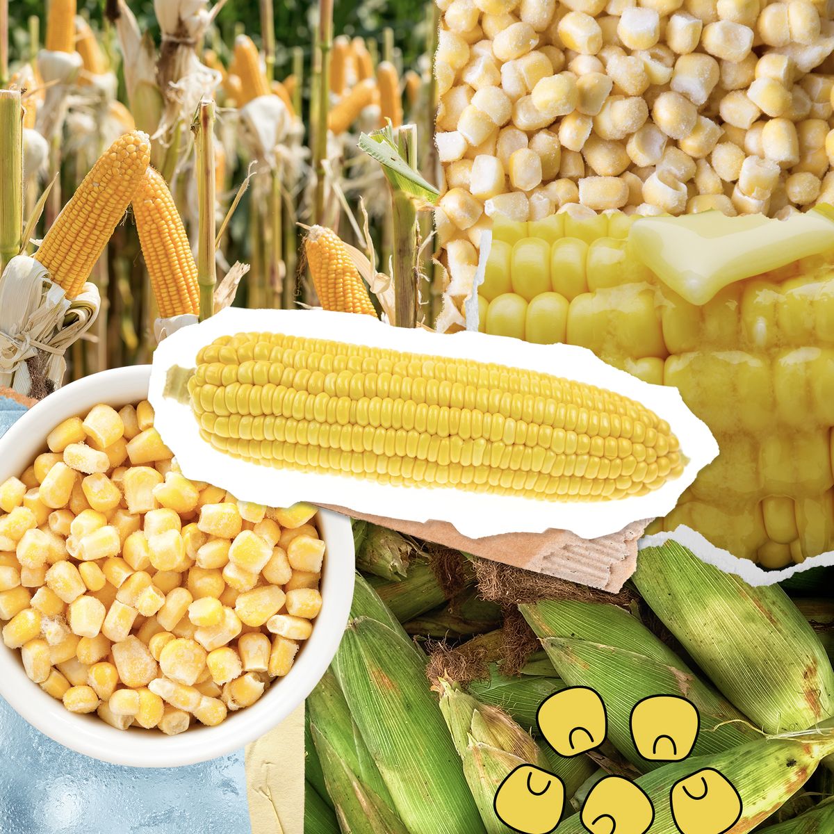 corn collage
