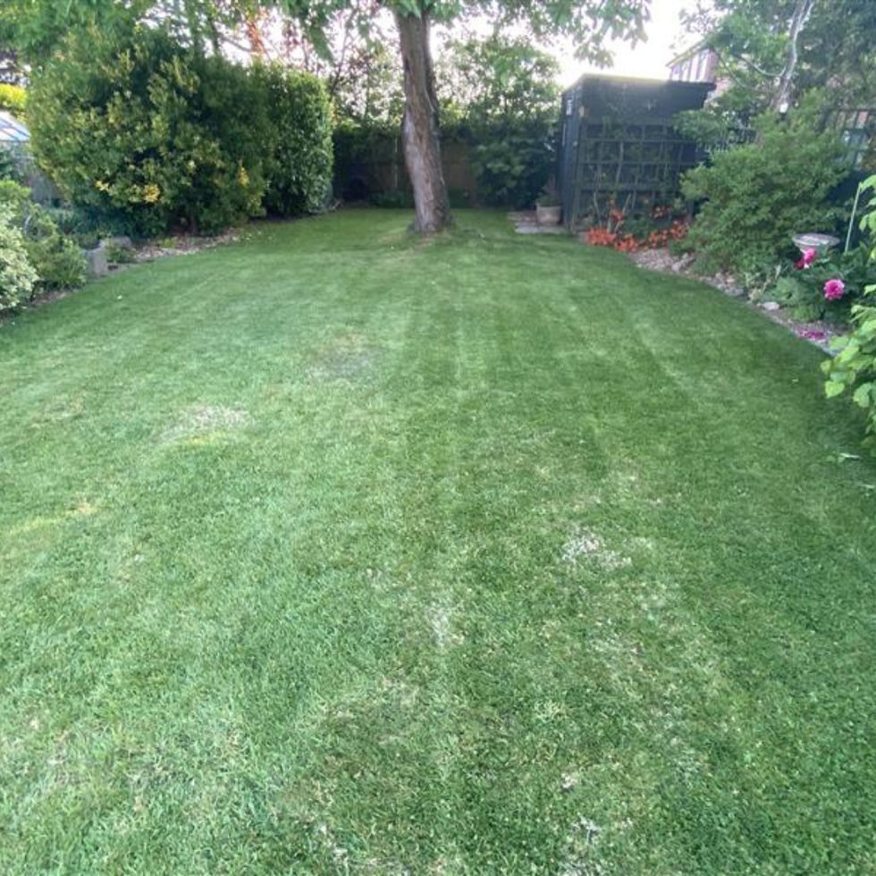 best electric lawnmowers