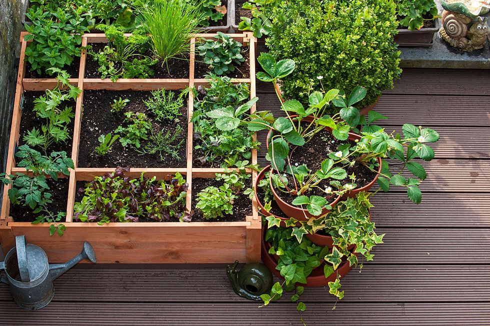 square foot gardening by planting flowers, herbs and vegetables in wooden box on balcony