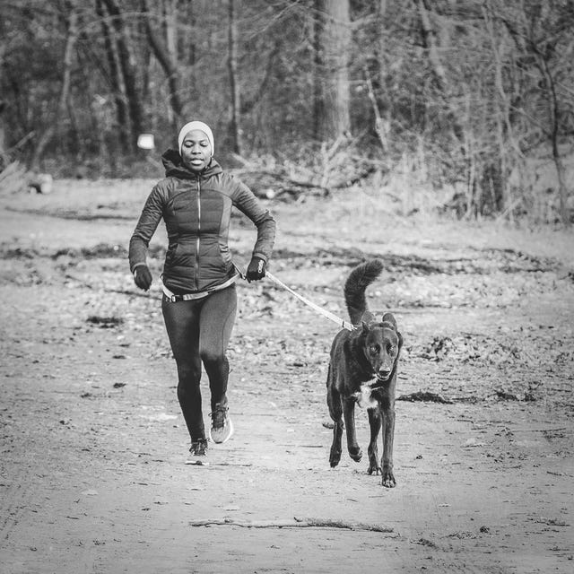 Cani cross, Recreation, Black-and-white, Running, Jogging, Sporting Group, Canidae, Photography, Monochrome, Dog walking, 