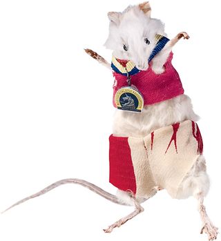 Mouse, Cat toy, Rat, Costume, Muridae, Animal figure, Fictional character, Dog clothes, Muroidea, Toy, 