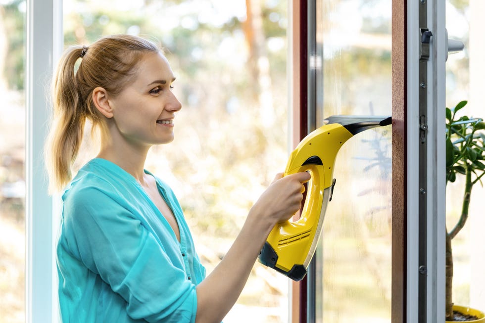 squeegee vs window vacuum