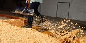 testing snow shovels with sawdust