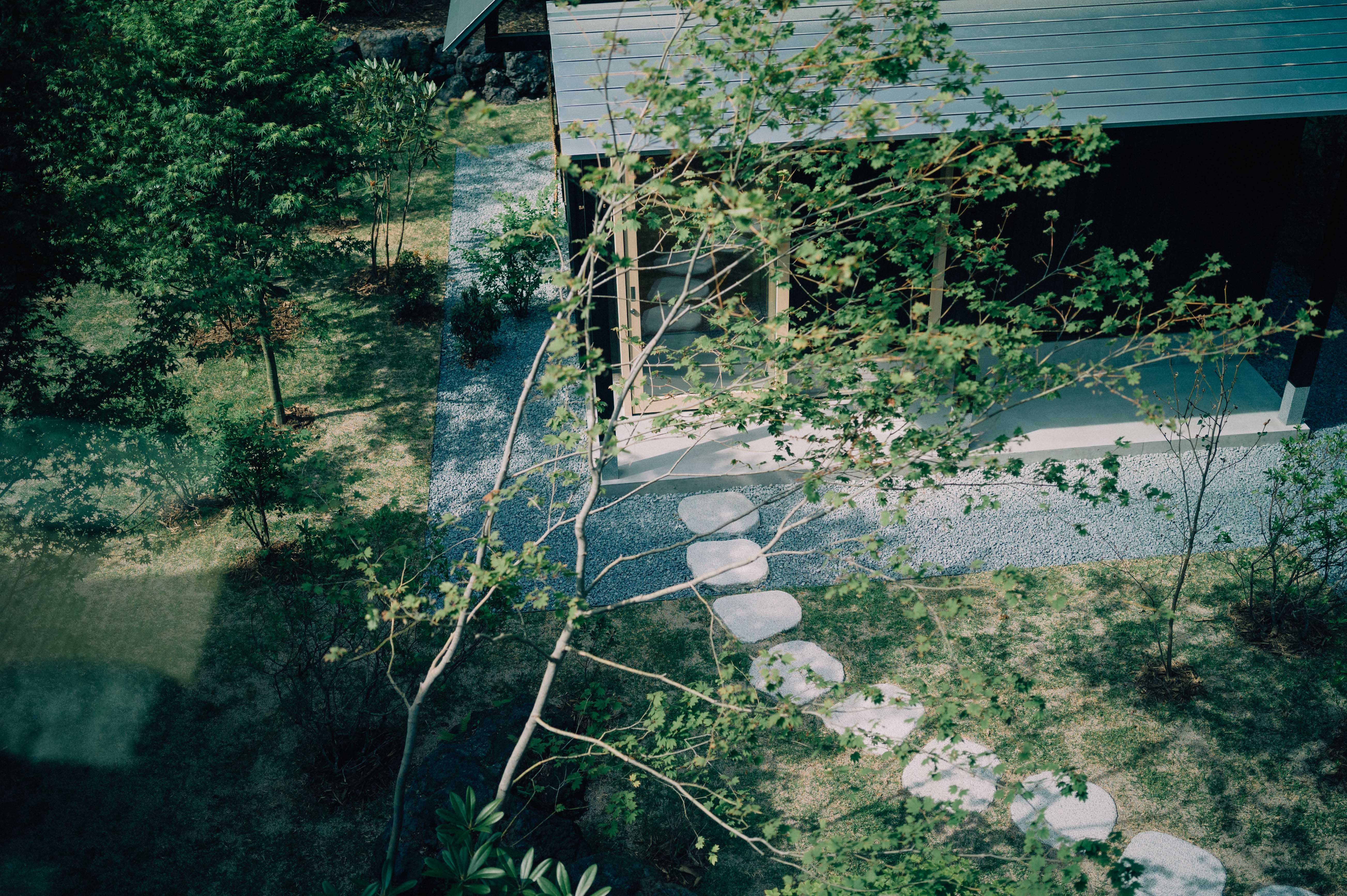 sshno3-648bb67628299.jpg?crop= sshno3-648bb67628299.jpg?crop=