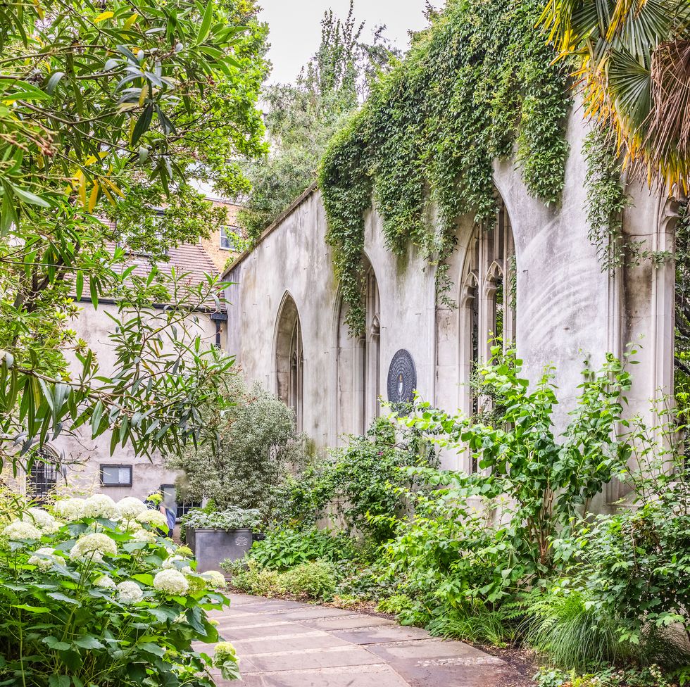 st dunstan in the east church garden is a truly unique garden set within the ruins of a wren church