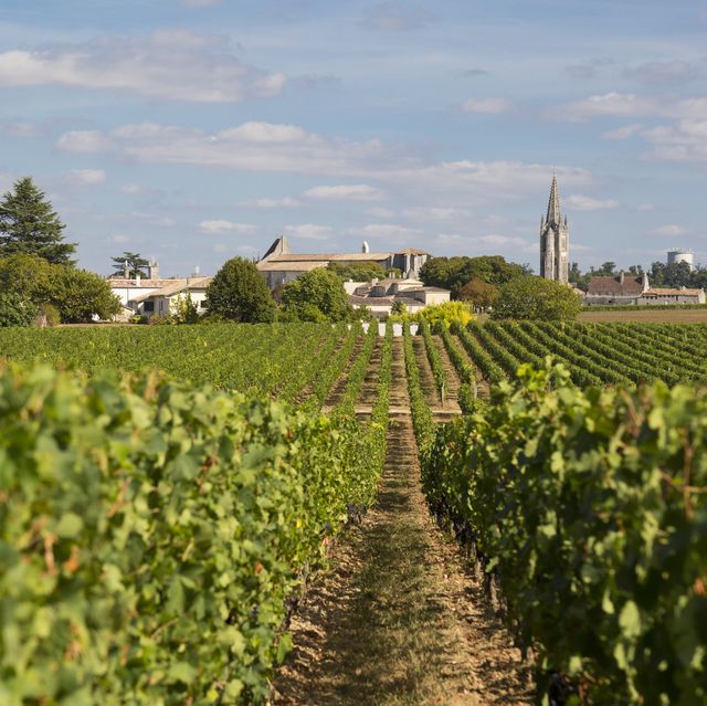 st emillion, france, the historic village center sits among the fields and rows of grape vines