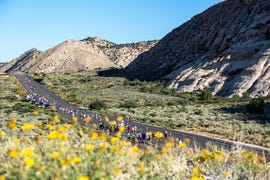st. george marathon