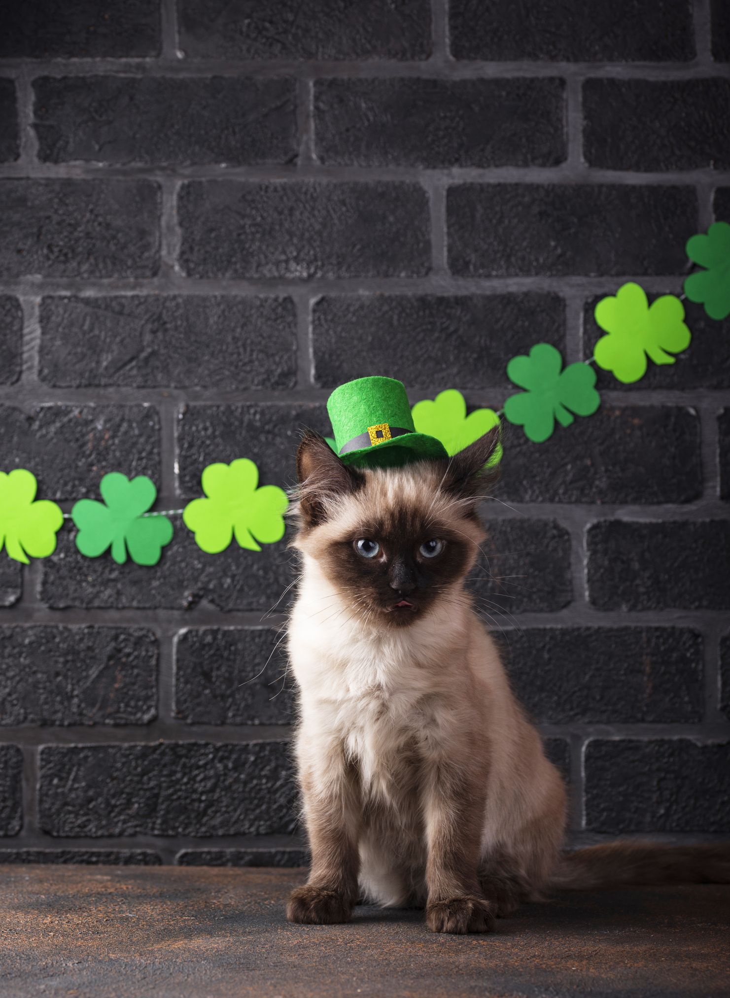 130 Best St. Patrick s Day Captions for Instagram 2024