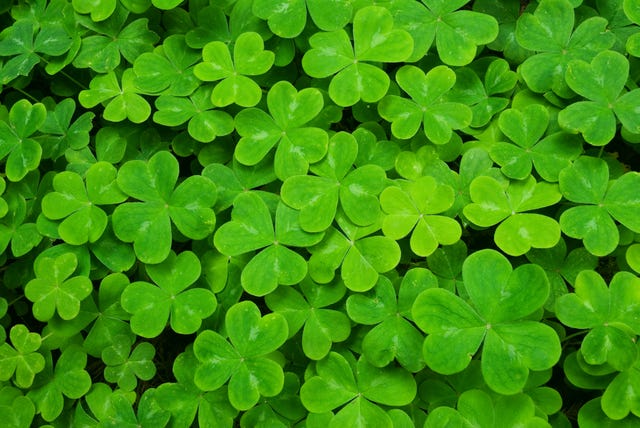 St. Patrick's Day Colors & Their Meanings, History and Symbolism