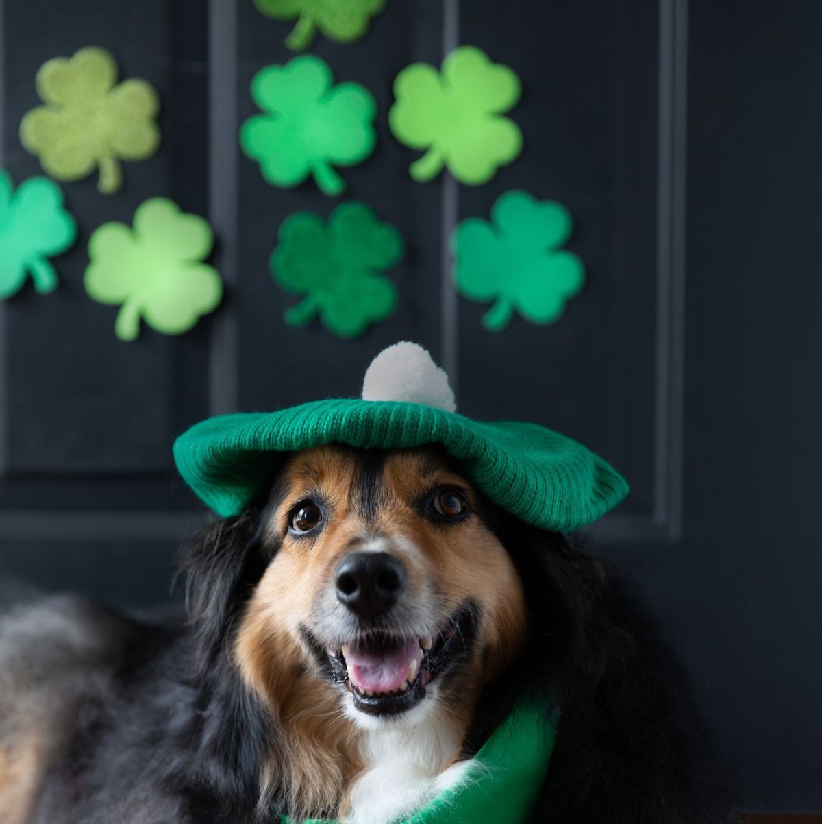 St. Patty's Day or St. Paddy's Day?: The Correct Nickname
