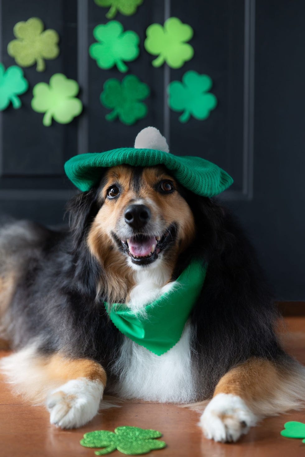 St. Patrick's Day Memes, Quotes, Captions, and More