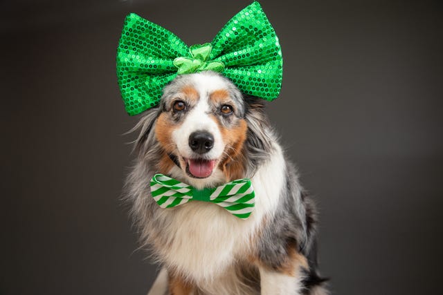 7 Happy St. Patrick's Day Images to Post on Social Media