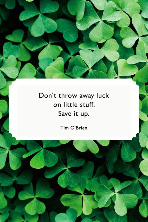 happy st patrick's day quote by tim o'brien