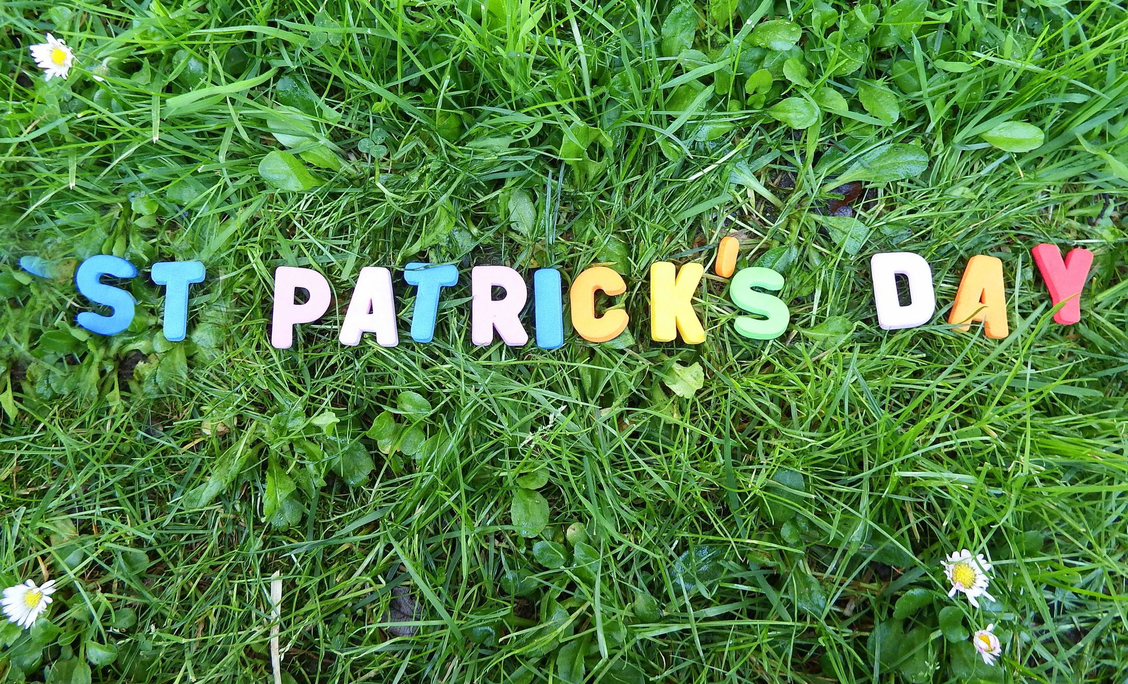 100 St. Patrick's Day Quotes to Channel the Luck of the Irish - Parade