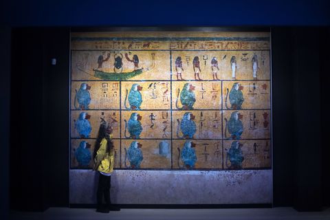 tutankhamun treasures exhibition