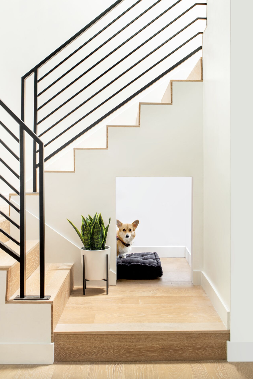 a dog sitting on a staircase