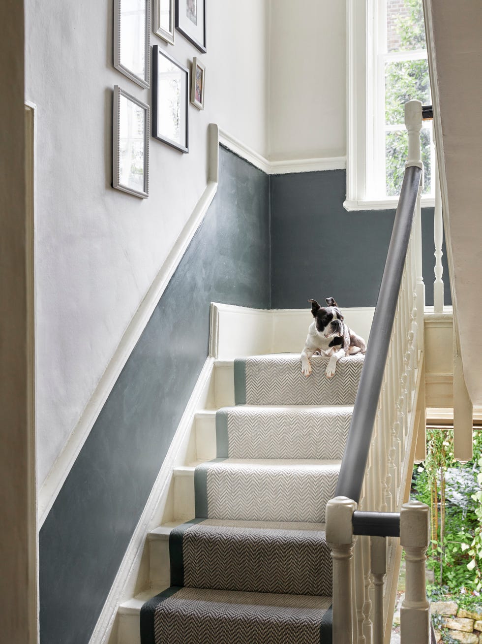 dog sitting on grey staircase