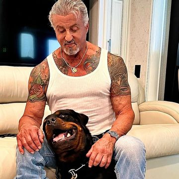 stallone, sus tatuajes y su perro