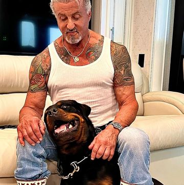 stallone, sus tatuajes y su perro