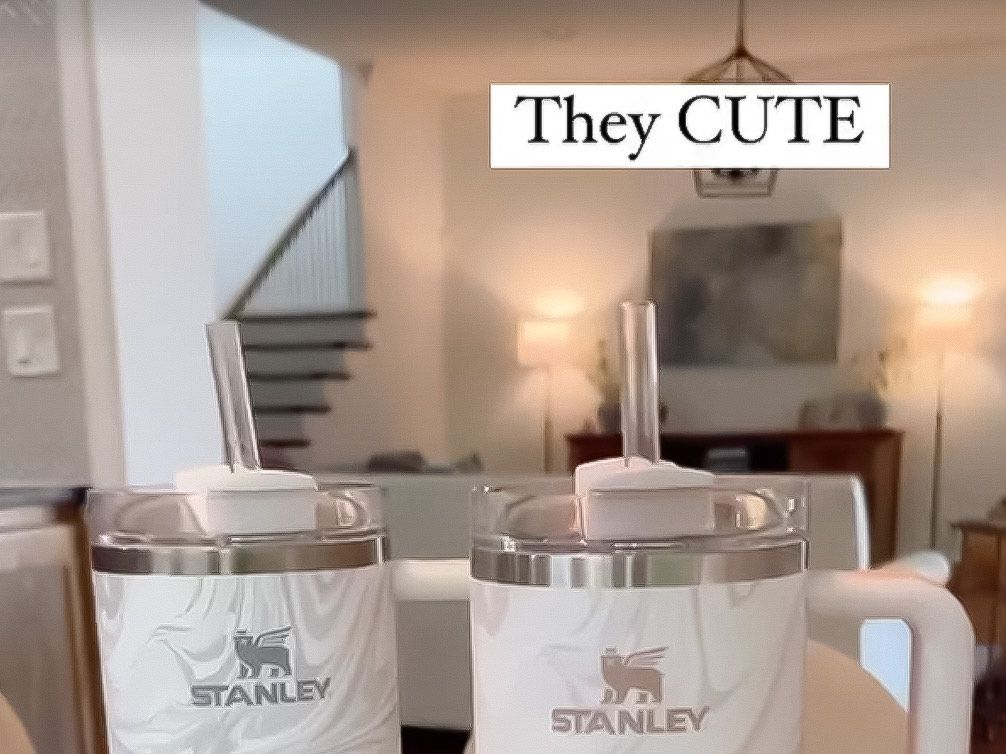 If You Love the Stanley Tumbler, You Need This $30  Tumbler