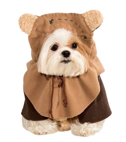 disfraces halloween perros