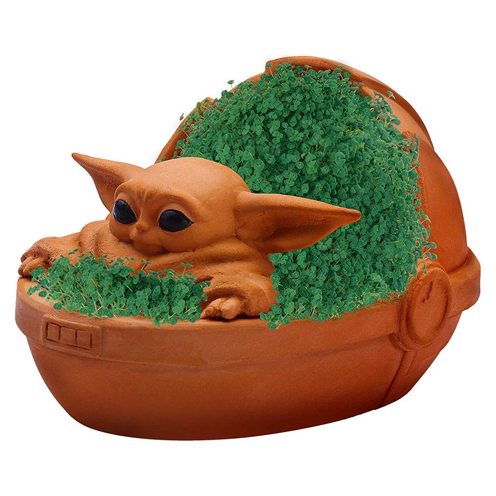 You Can the Baby Yoda Chia Pet, So Can Your Own Child