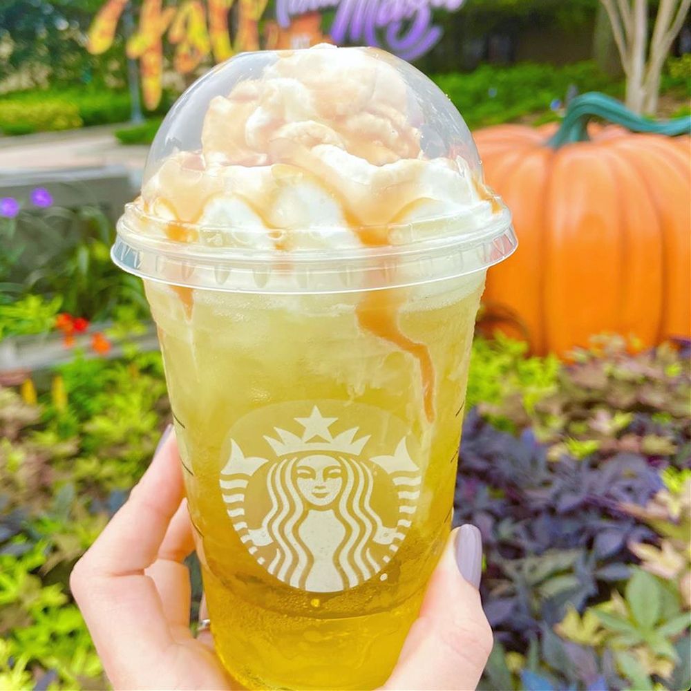 apple cider starbucks drink