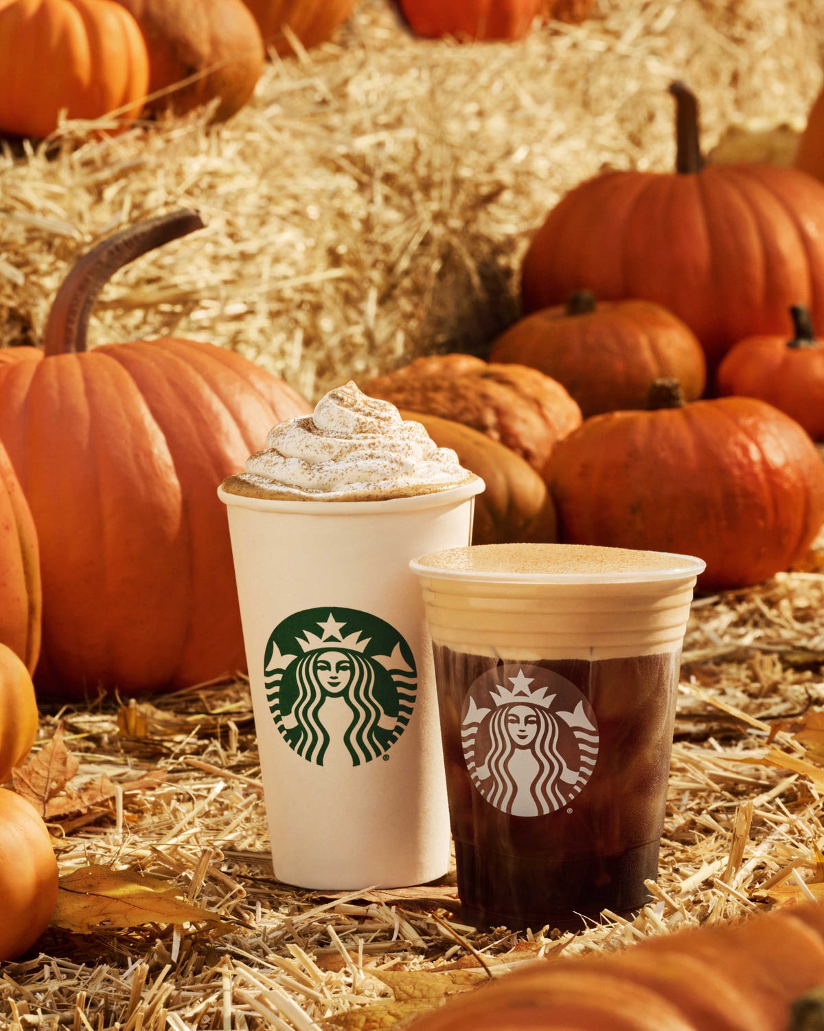 This Fall, Pumpkin Spice Lattes Get Competition From Starbucks