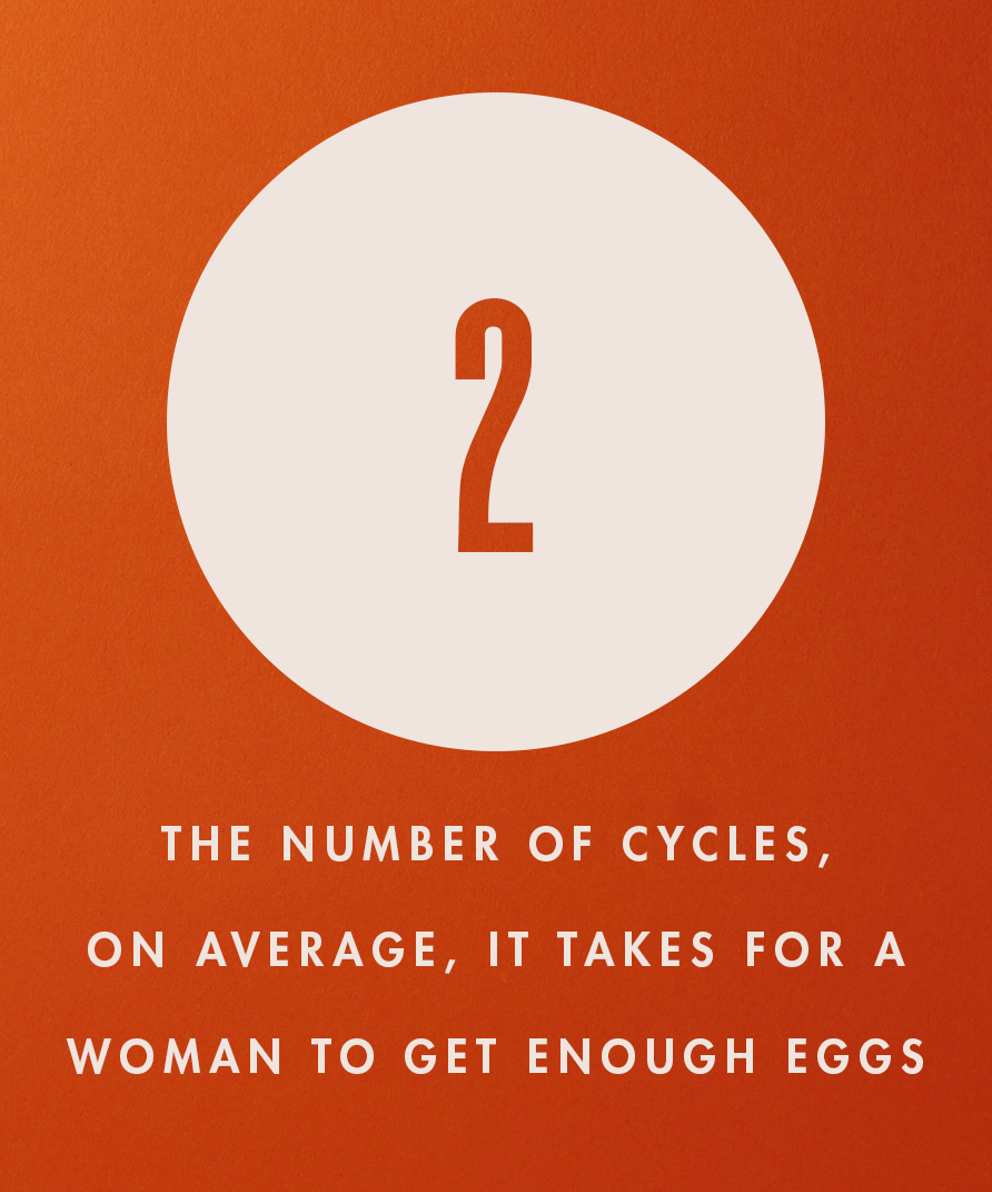 Fertility Hedge Fund? Pros and Cons of Egg Banking - Absolutely Maybe