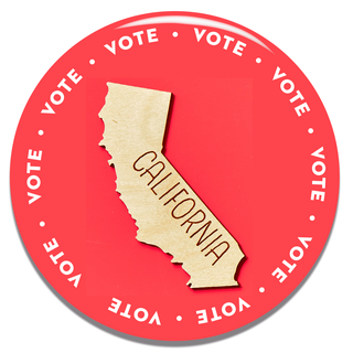 how to vote in your state california