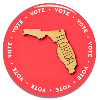 how to vote in your state florida