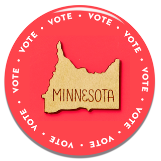 how to vote in your state minnesota