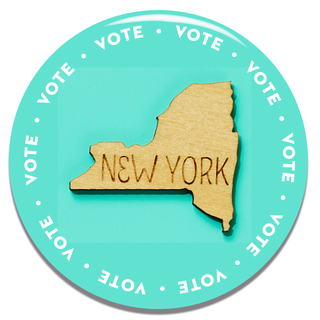 how to vote in your state new york