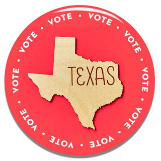 how to vote in your state texas