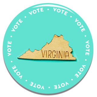 how to vote in your state virginia