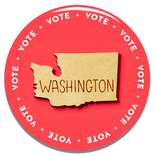 how to vote in your state washington