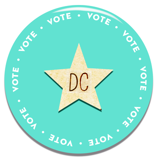 how to vote in your state washington dc