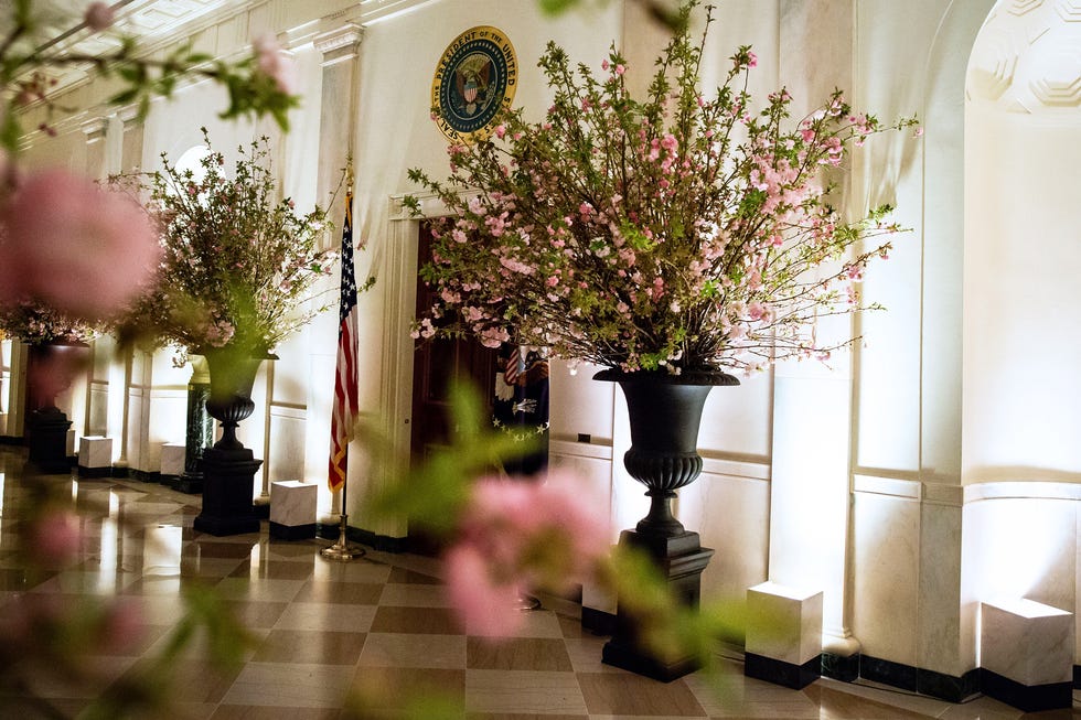 state dinner