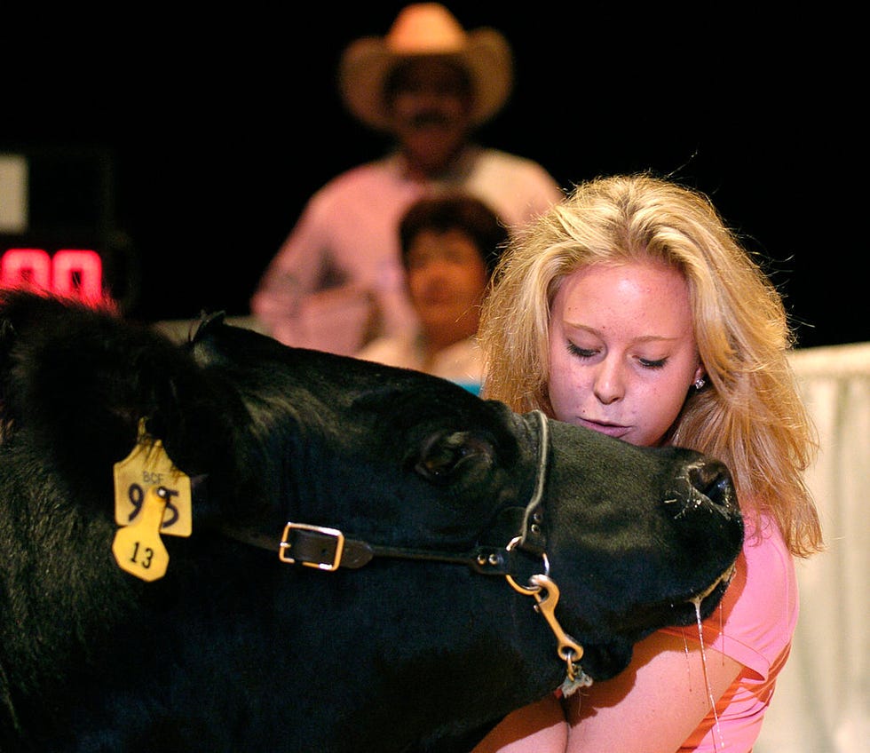 state fair photos us