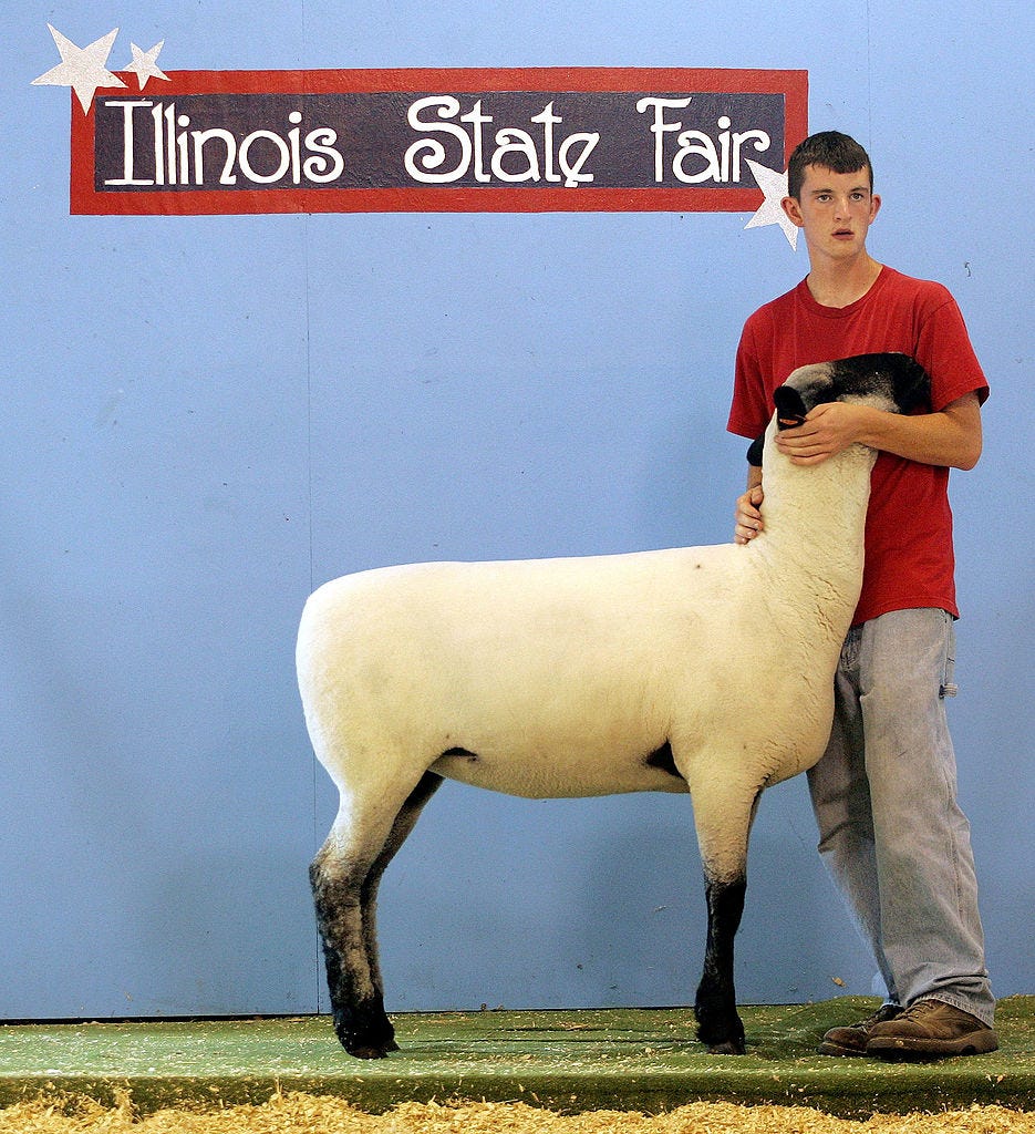 state fair photos us