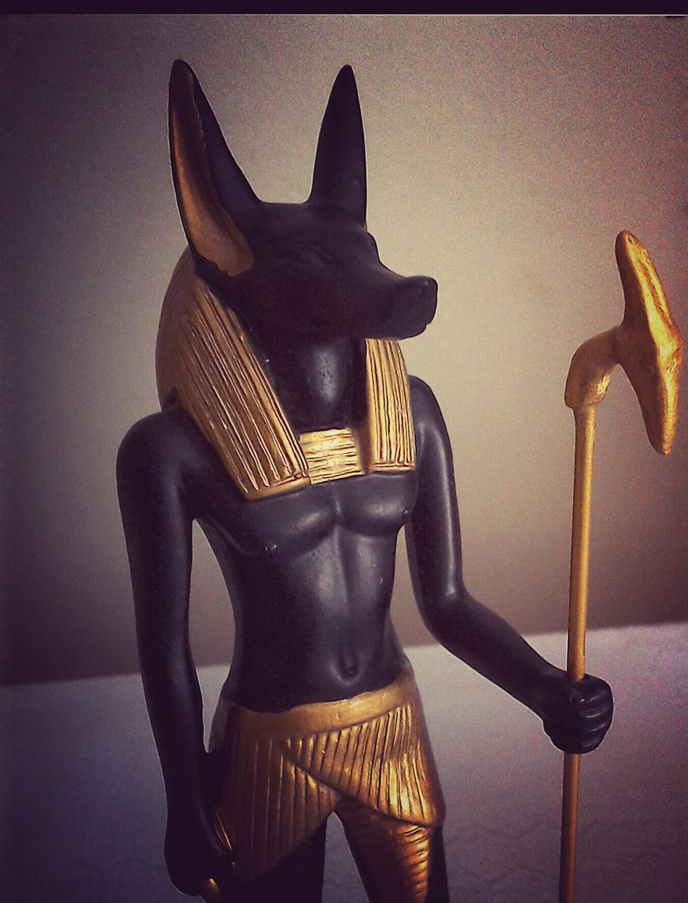 statue of anubis against wall