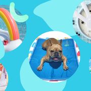 pool float, ice cream maker, popsicle molds, dog cooling mat