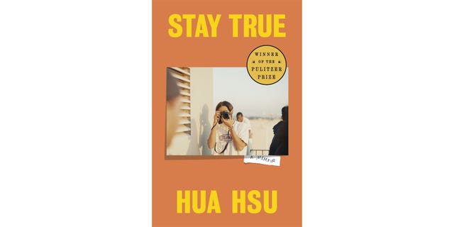 stay true, hua hsu