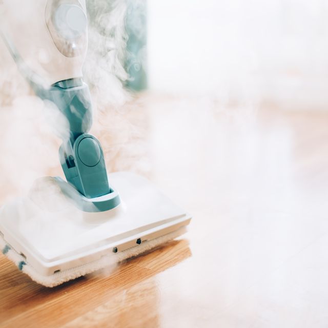 The 10 Best Steam Cleaners of 2022 - Steam Cleaners Reviewers Love