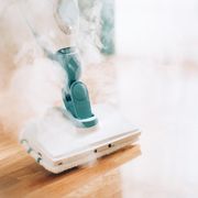 steam cleaner mop cleaning floor