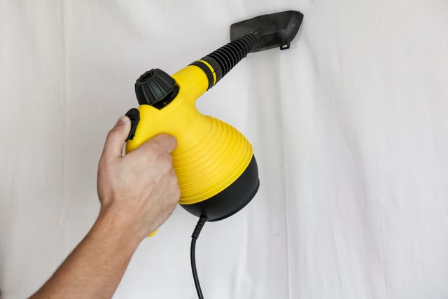 Steam cleaner