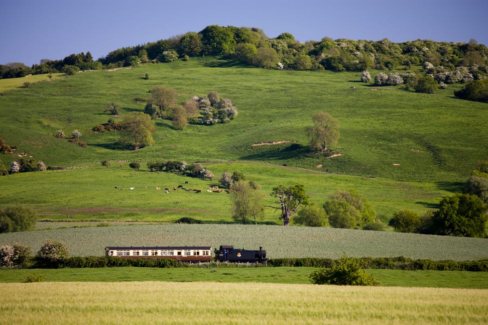 steam engine and carriages, uk