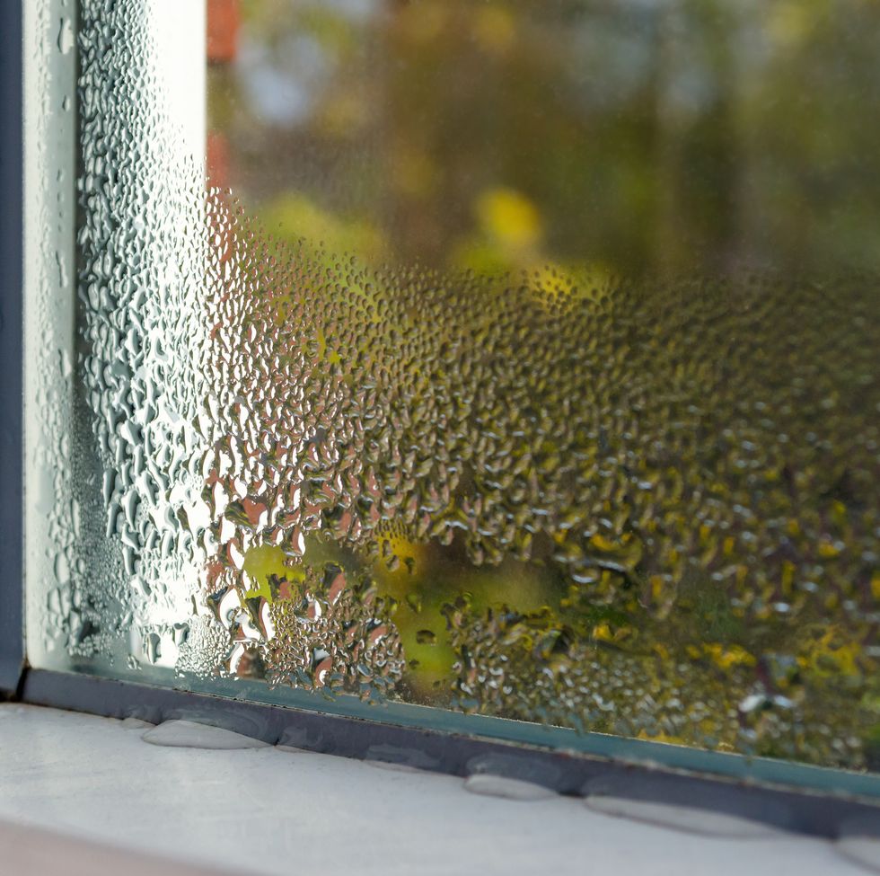 Preventing Window Condensation - Home Nation