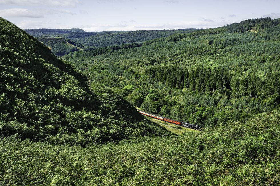 Steam train rides, North York Moors, Yorkshire, UK