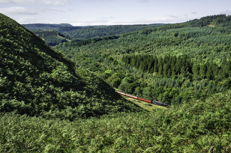 Steam train rides, North York Moors, Yorkshire, UK